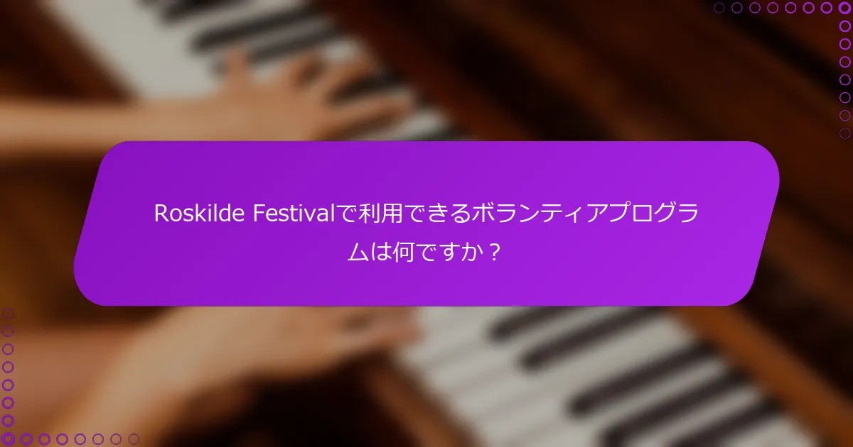 Roskilde Festivalで利用できるボランティアプログラムは何ですか？